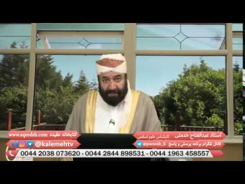 ???? ?????? ??? ?????? ??? ??????